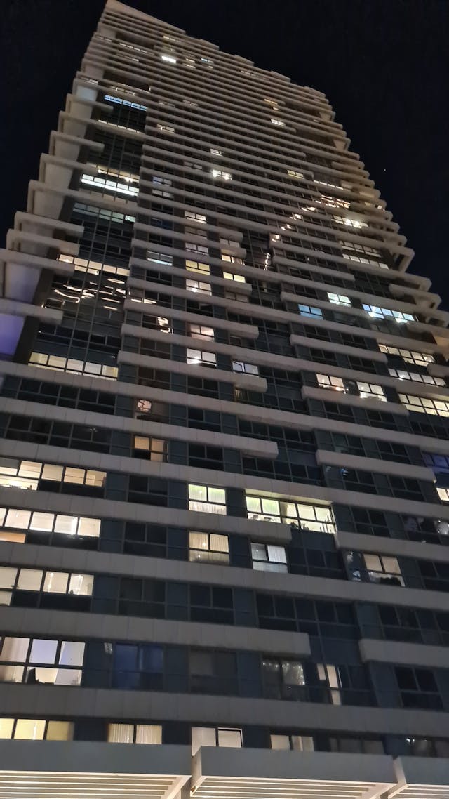 12932698.jpg