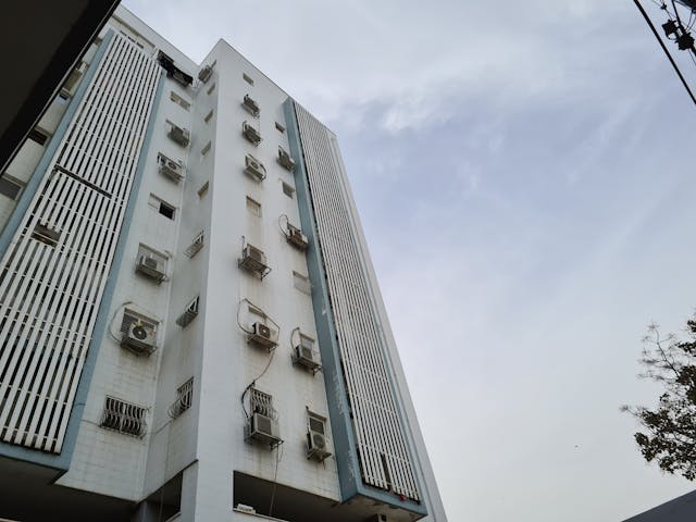 7238641.jpg