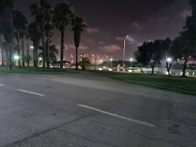8618519.jpg