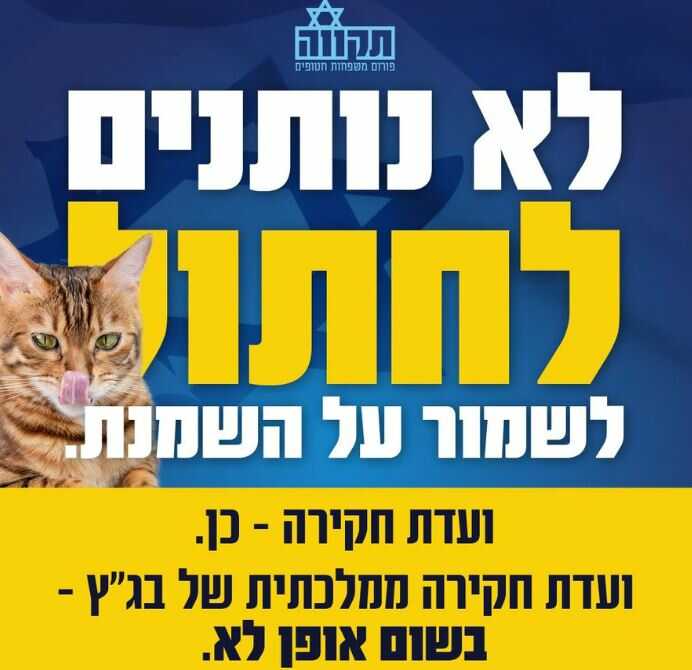 פורום תקווה דורש: *ועדת חקירה שוויונית* בחוק מיוחד. בלי פוליטיקה